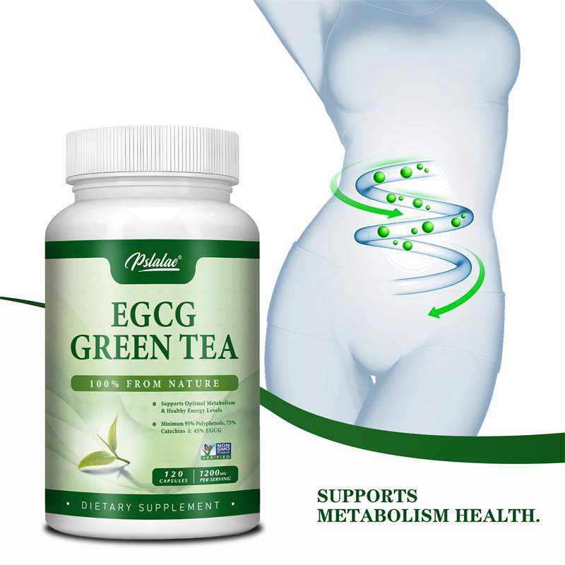 Green Tea Extract Fat - Egcg Groene Thee-Extract-Verhoogt De Stofwisseling En