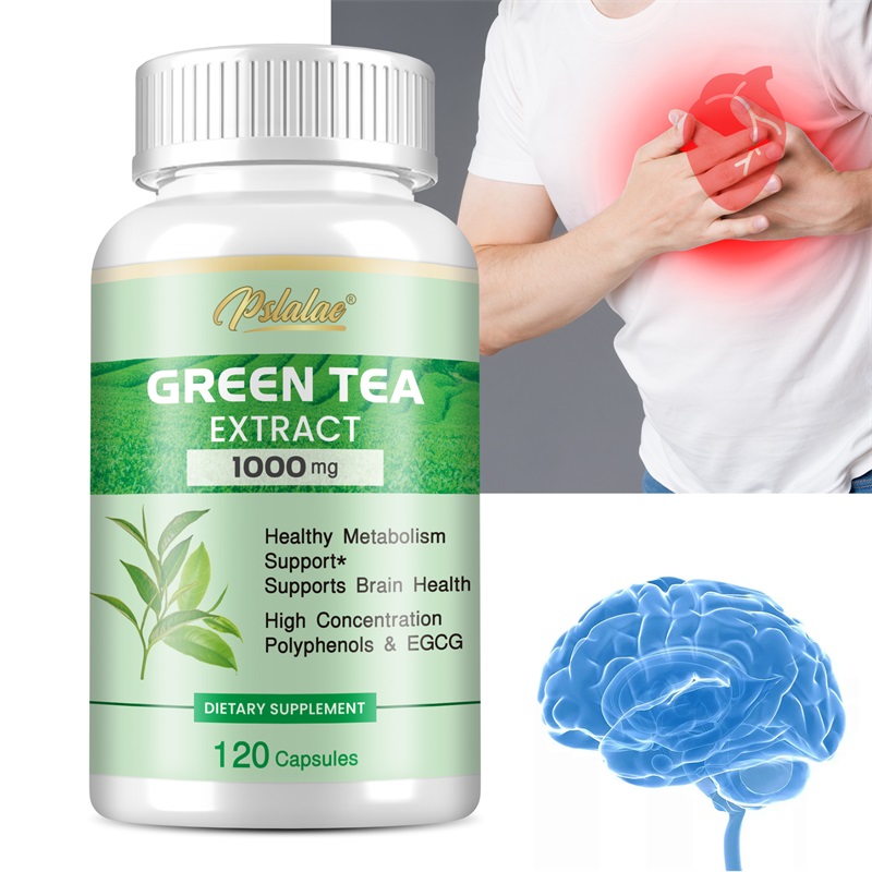 Green Tea Extract Fat - Groene thee-extract - met 98% polyfenolen,
