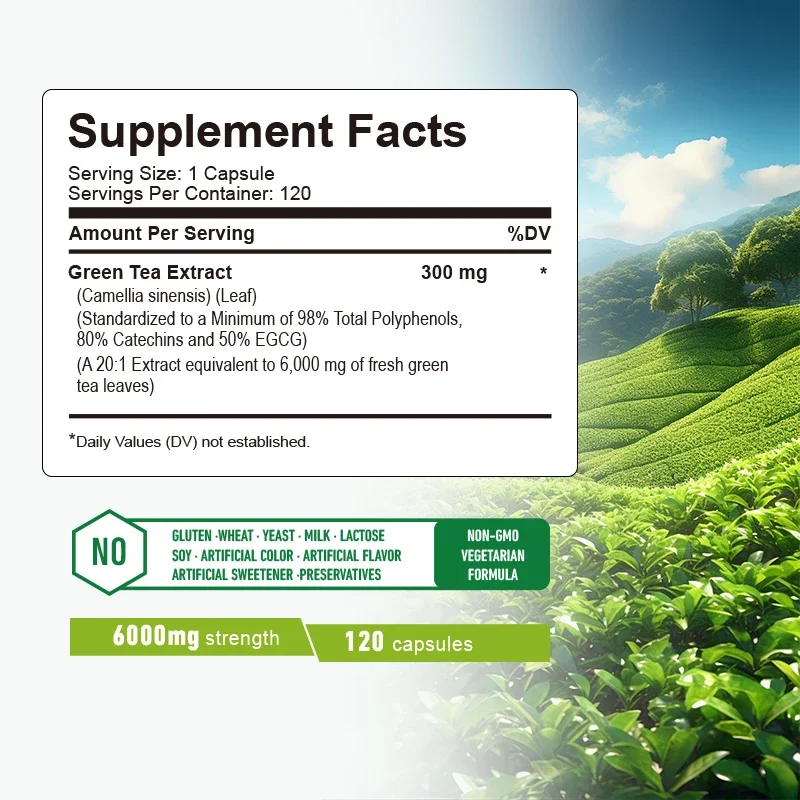 Groene theecapsules - Buikvetv - Green Tea Extract Fat recensie en prijs