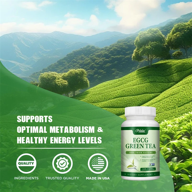 EGCG groene thee-extract - ver - Green Tea Extract Fat recensie en prijs